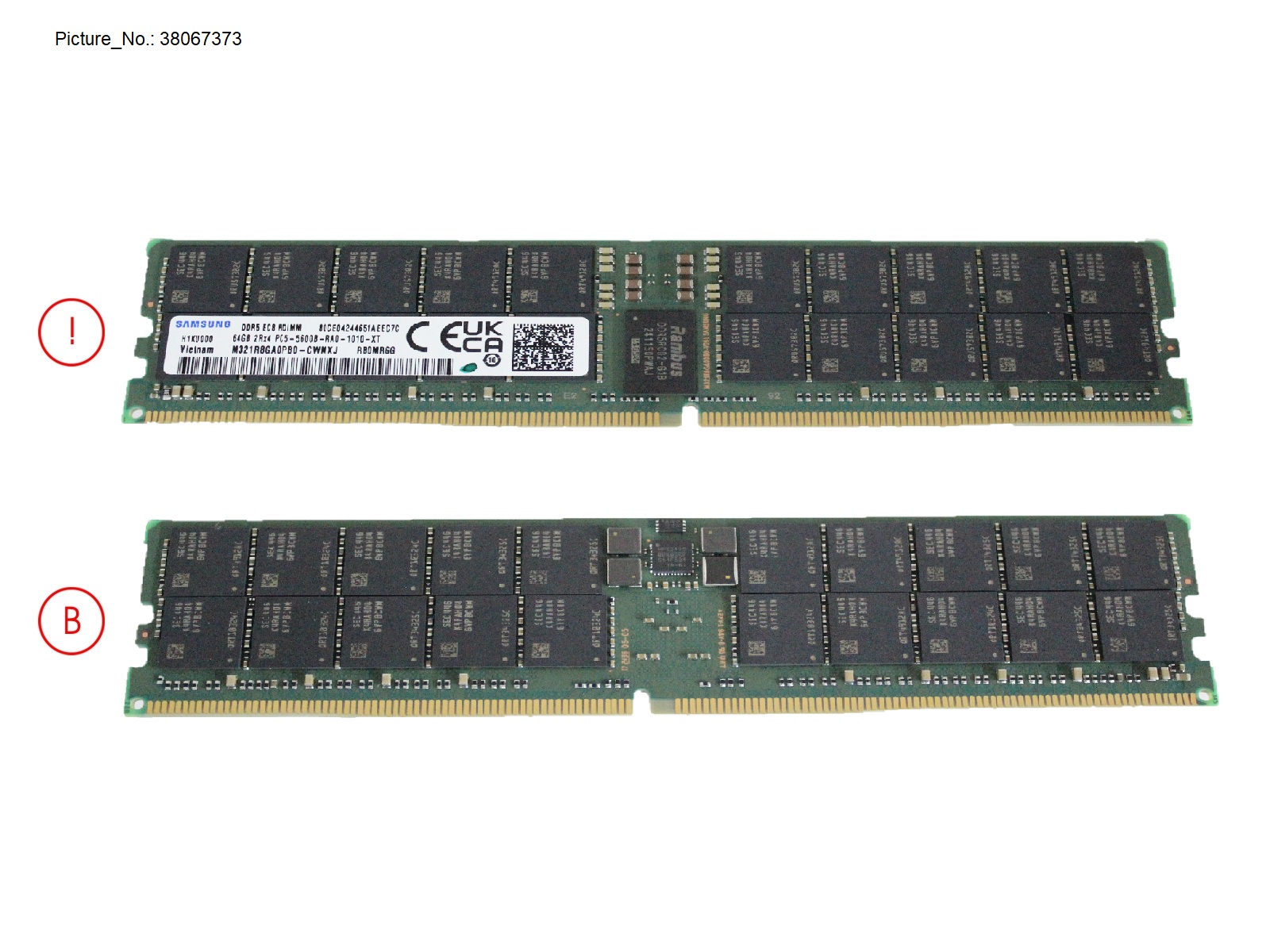64GB (1X64GB) 2RX4 DDR5-5600 R ECC