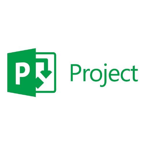 Microsoft Project Standard 2019 Volumenlizenz aus Wiedervermarktung