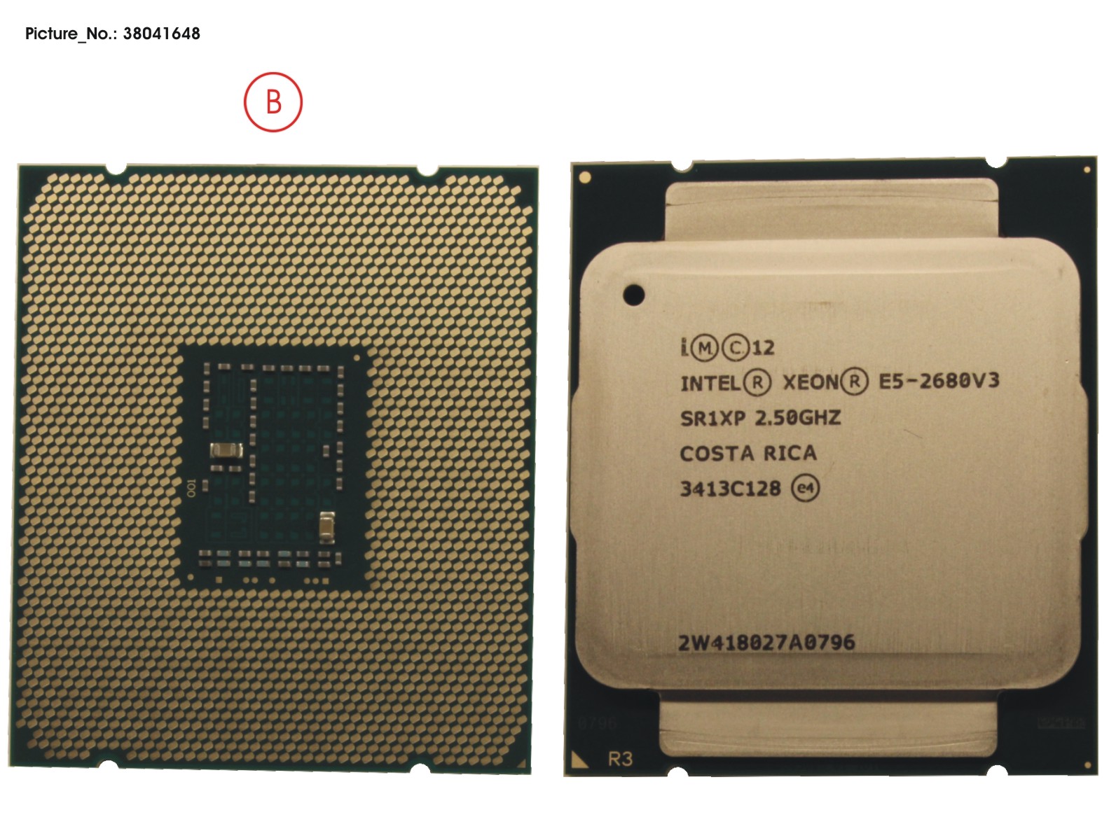 CPU XEON E5-2680 V3 2.5GHZ 120W