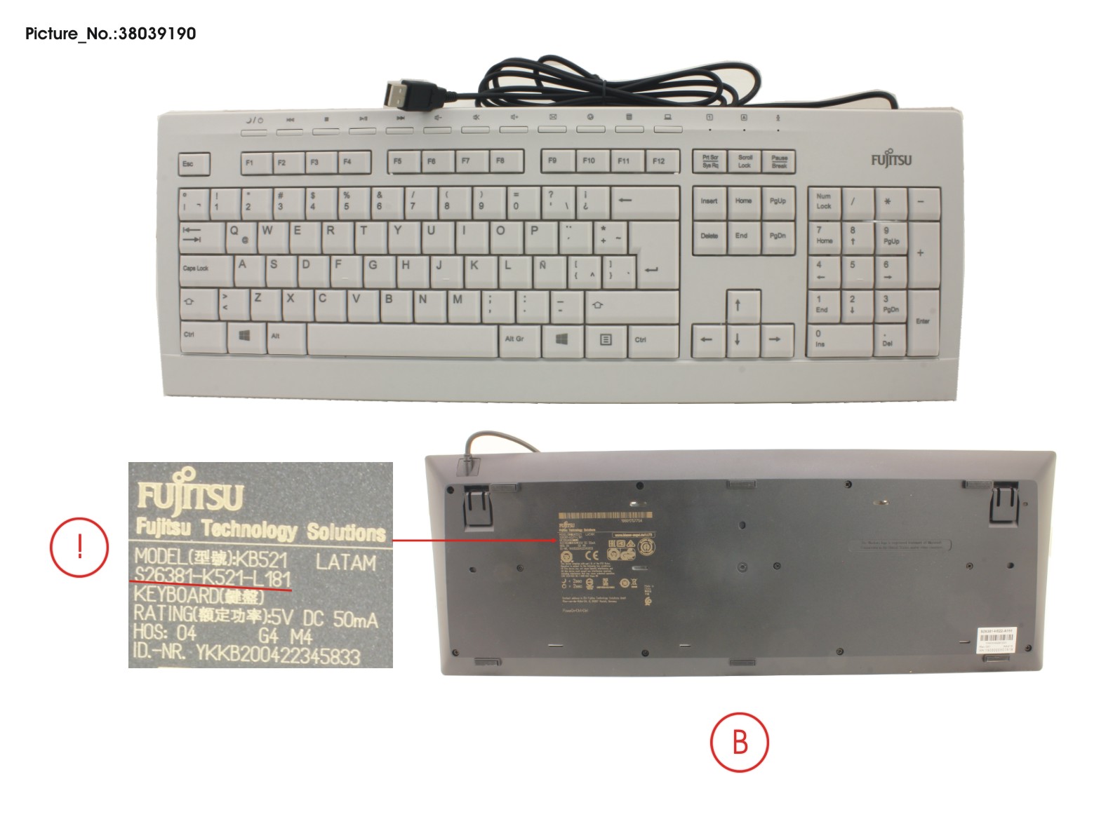 KEYBOARD KB521 LATAM