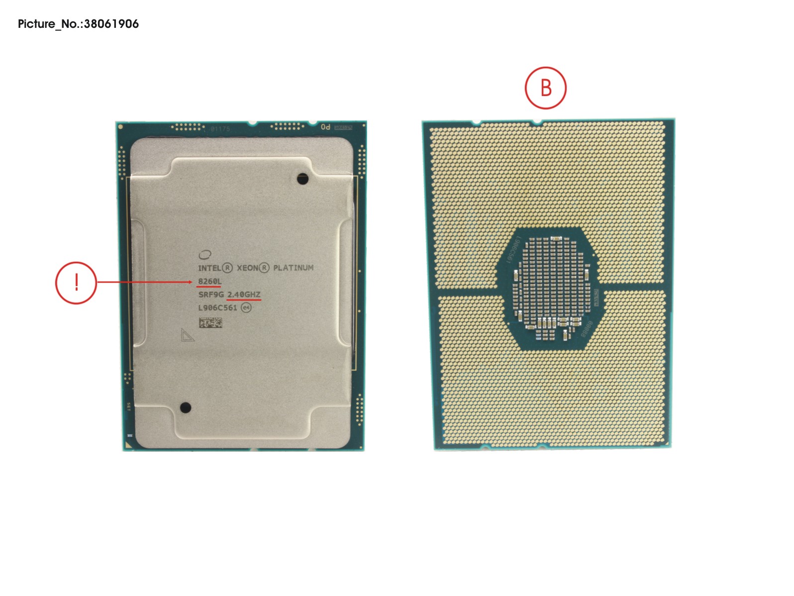 INTEL XEON PLATINUM 8260L 2400 165W