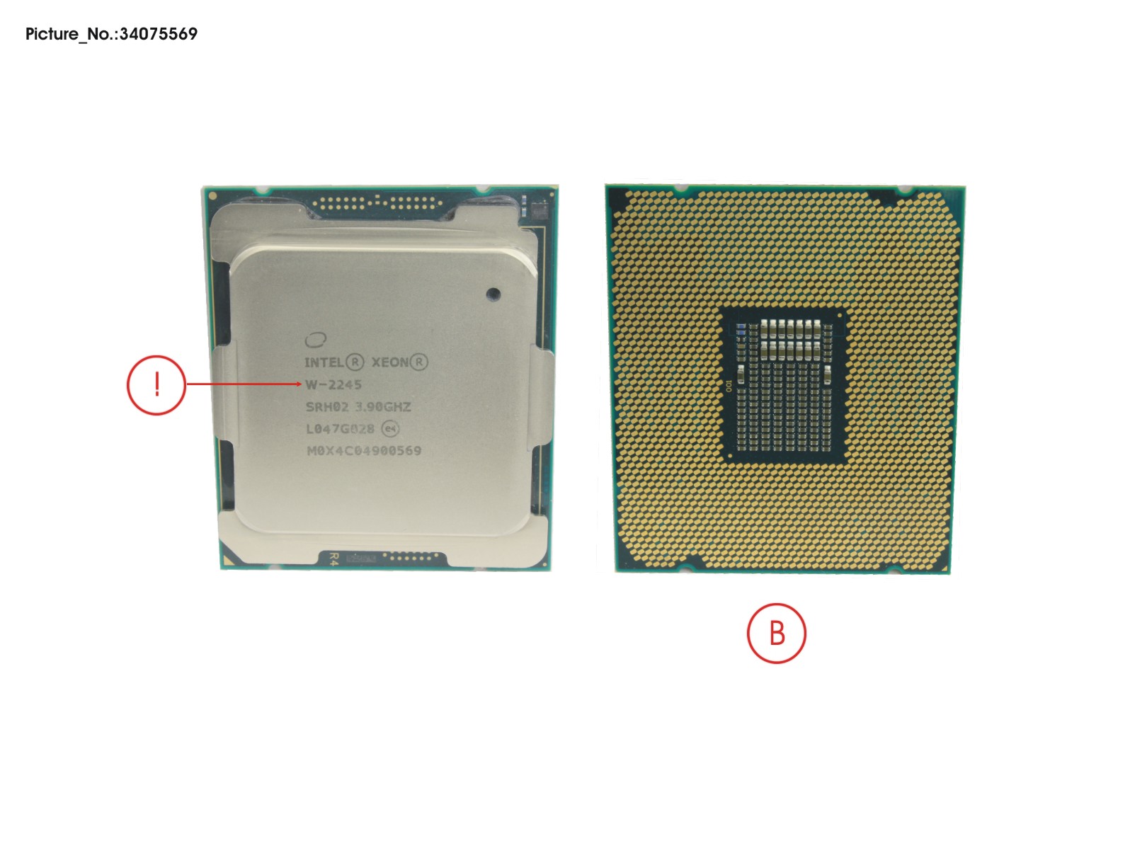 CPU XEON W-2245 8C 3.9GHZ 155W