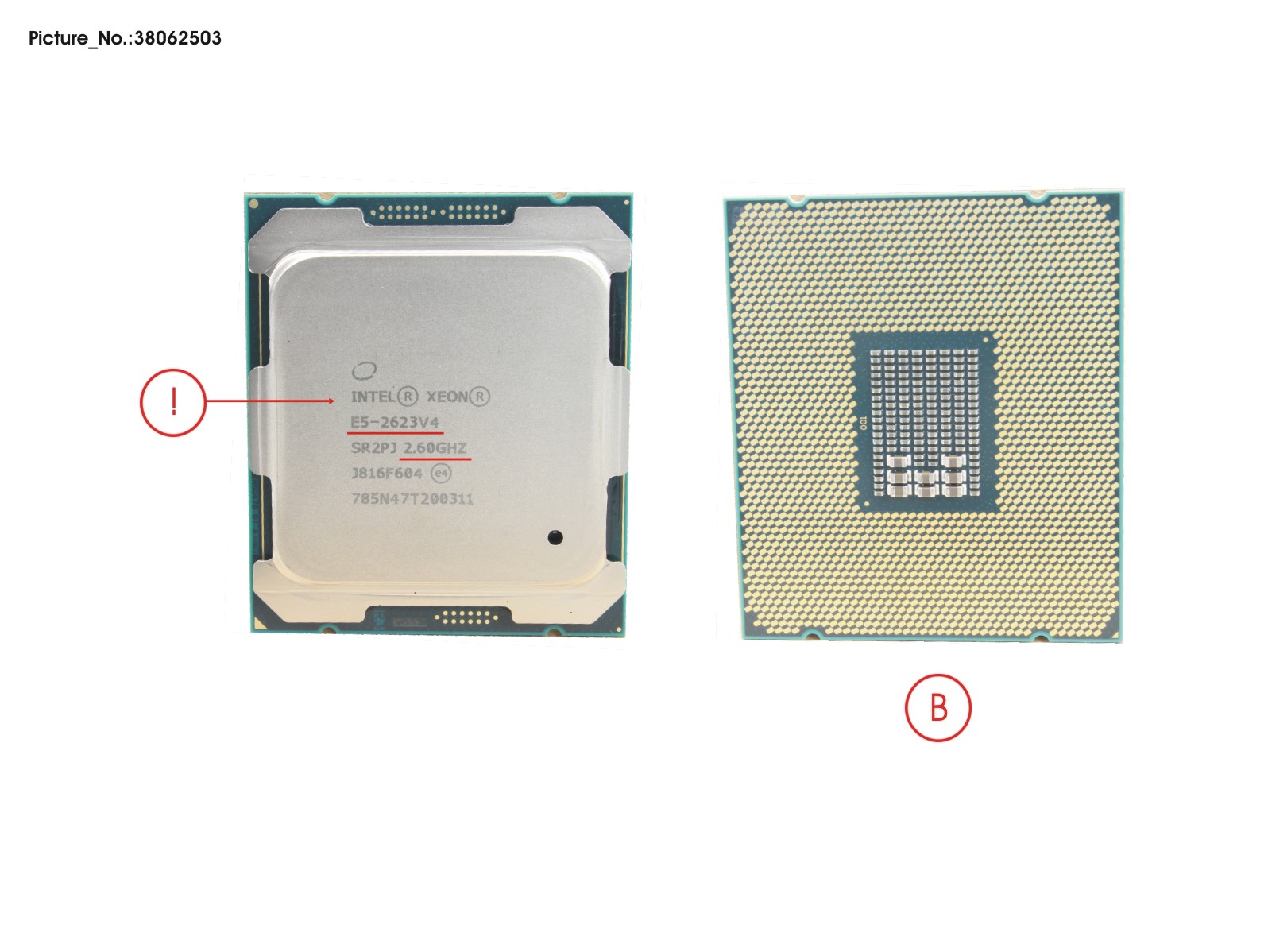 CPU XEON E5-2623V4 2.6GHZ 85W