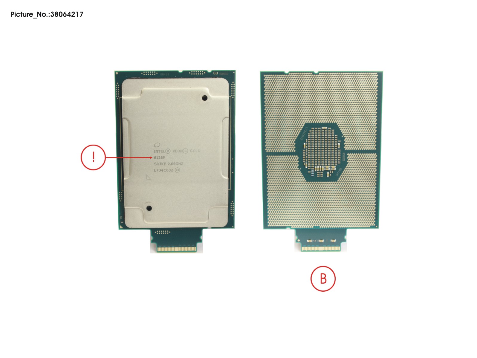 CPU 6126F   2600  135W CPU 6126F   2600  135W