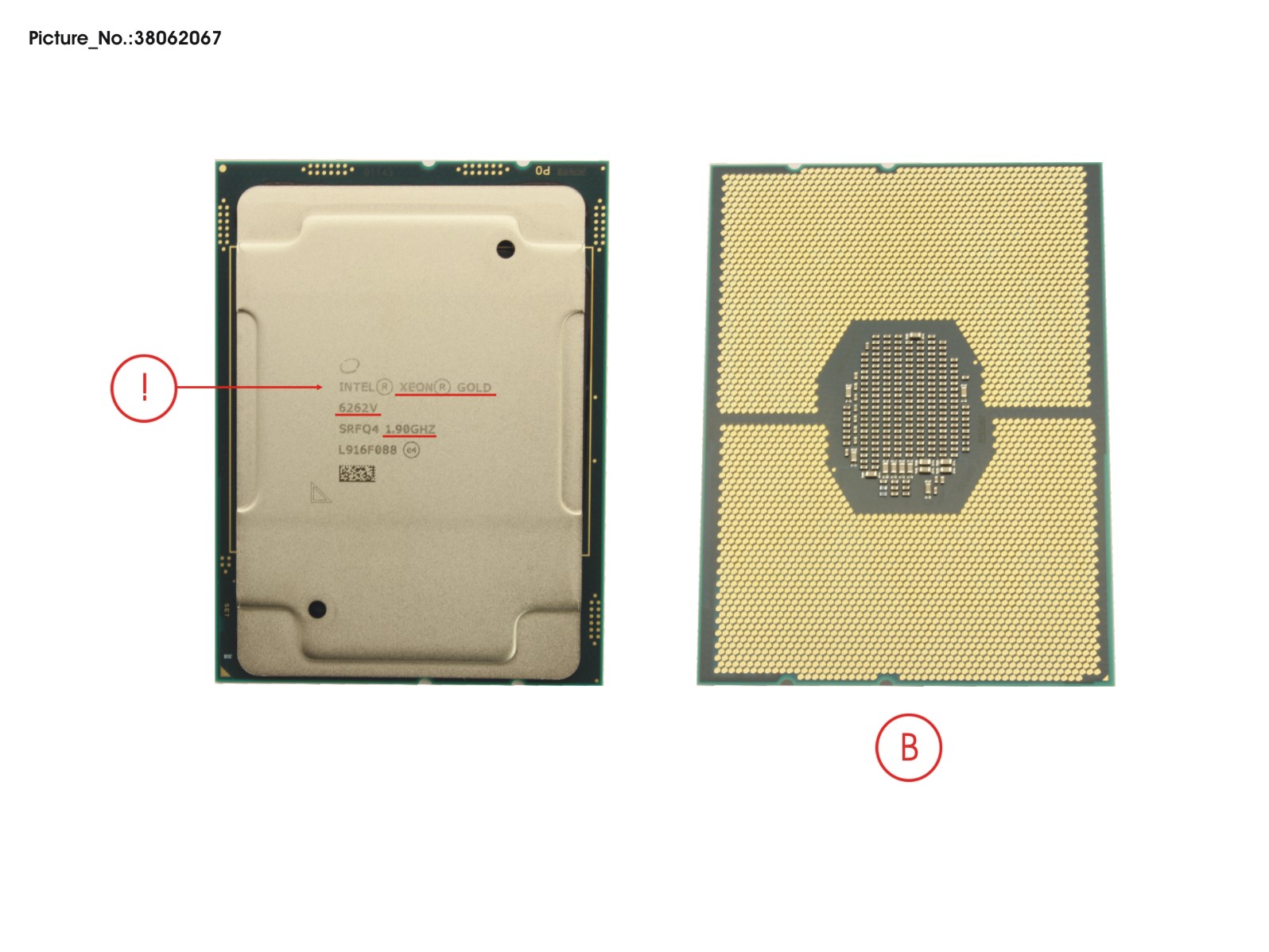 CPU INTEL XEON GOLD 6262V - 1900 135W