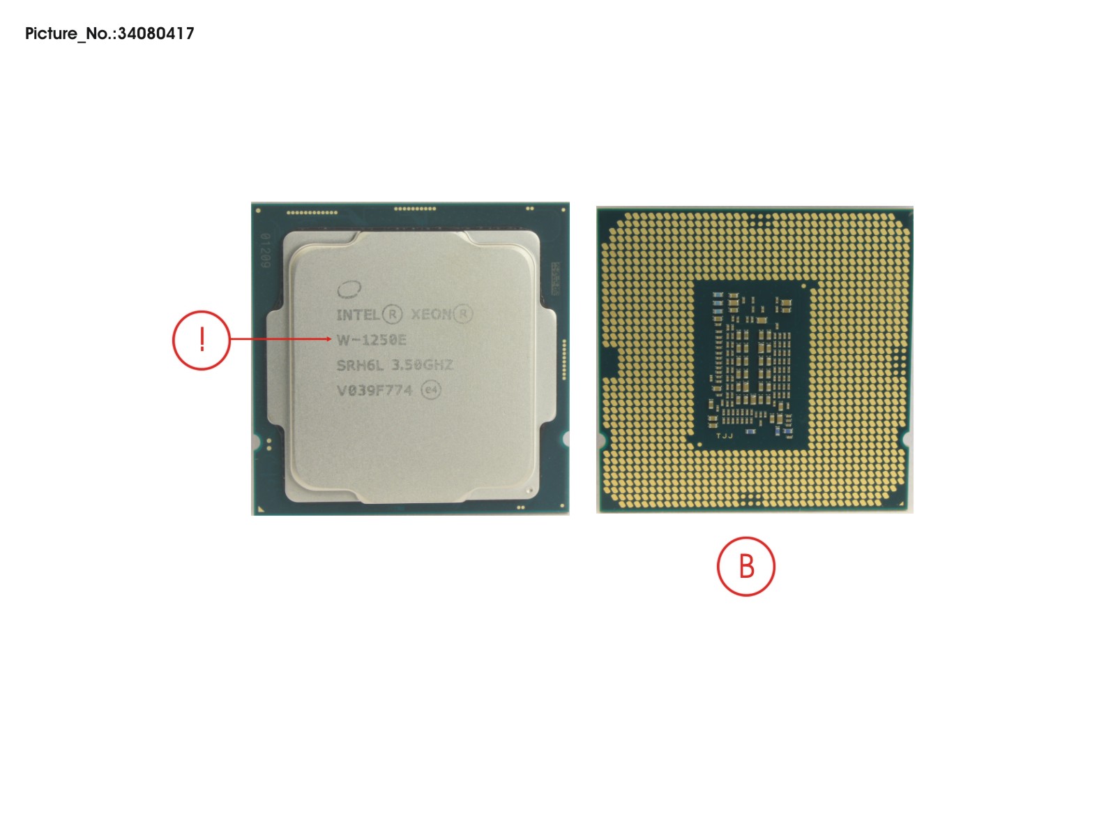 CPU INTEL XEON W-1250 3,5 GHZ 80W