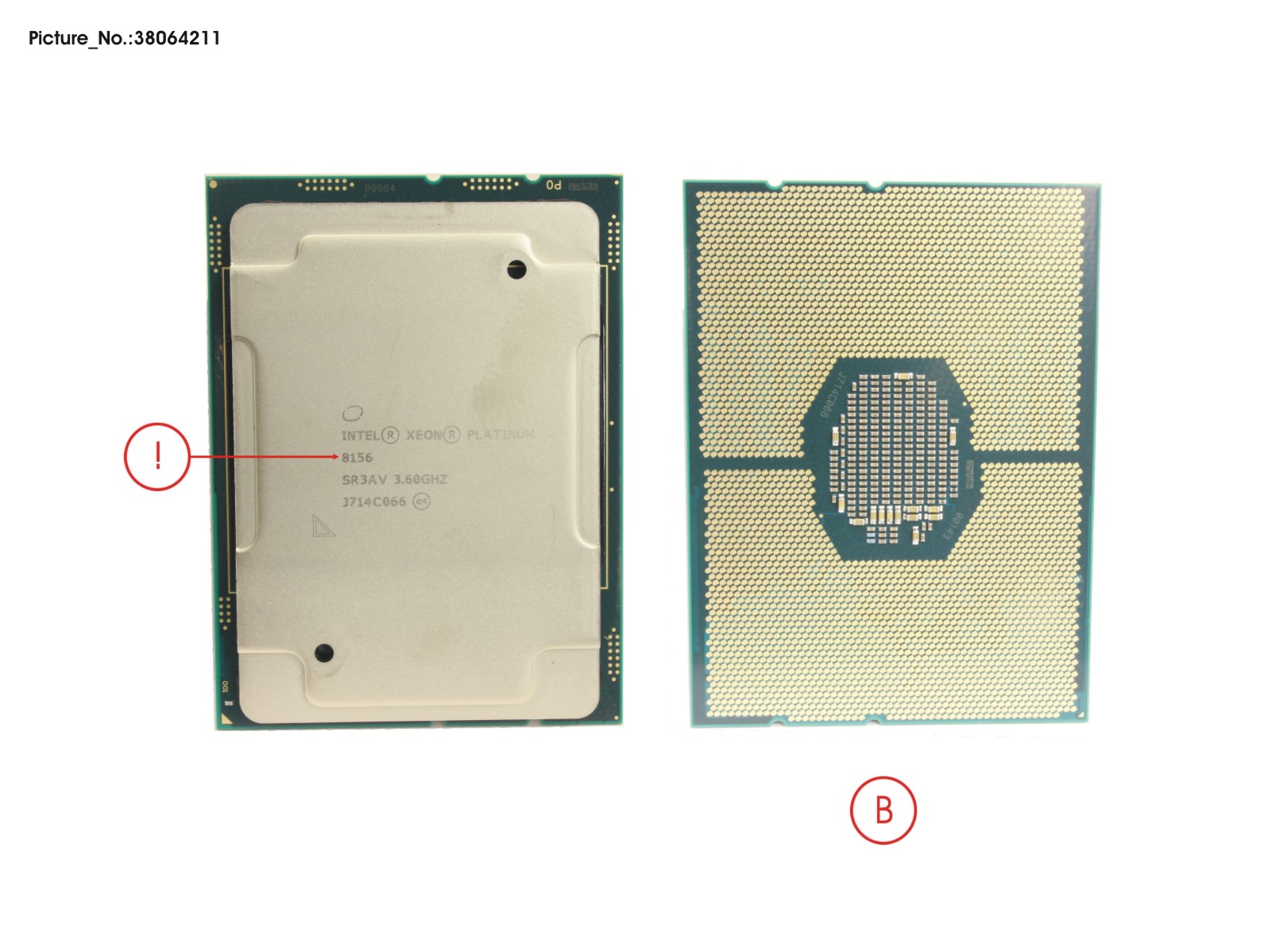 CPU 8156    3600  105W