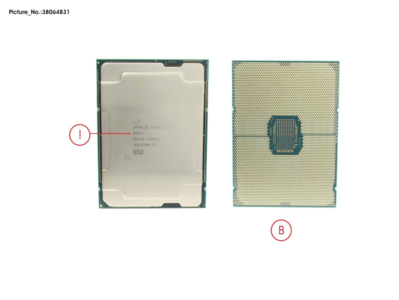 XEON PLATINUM 8352V