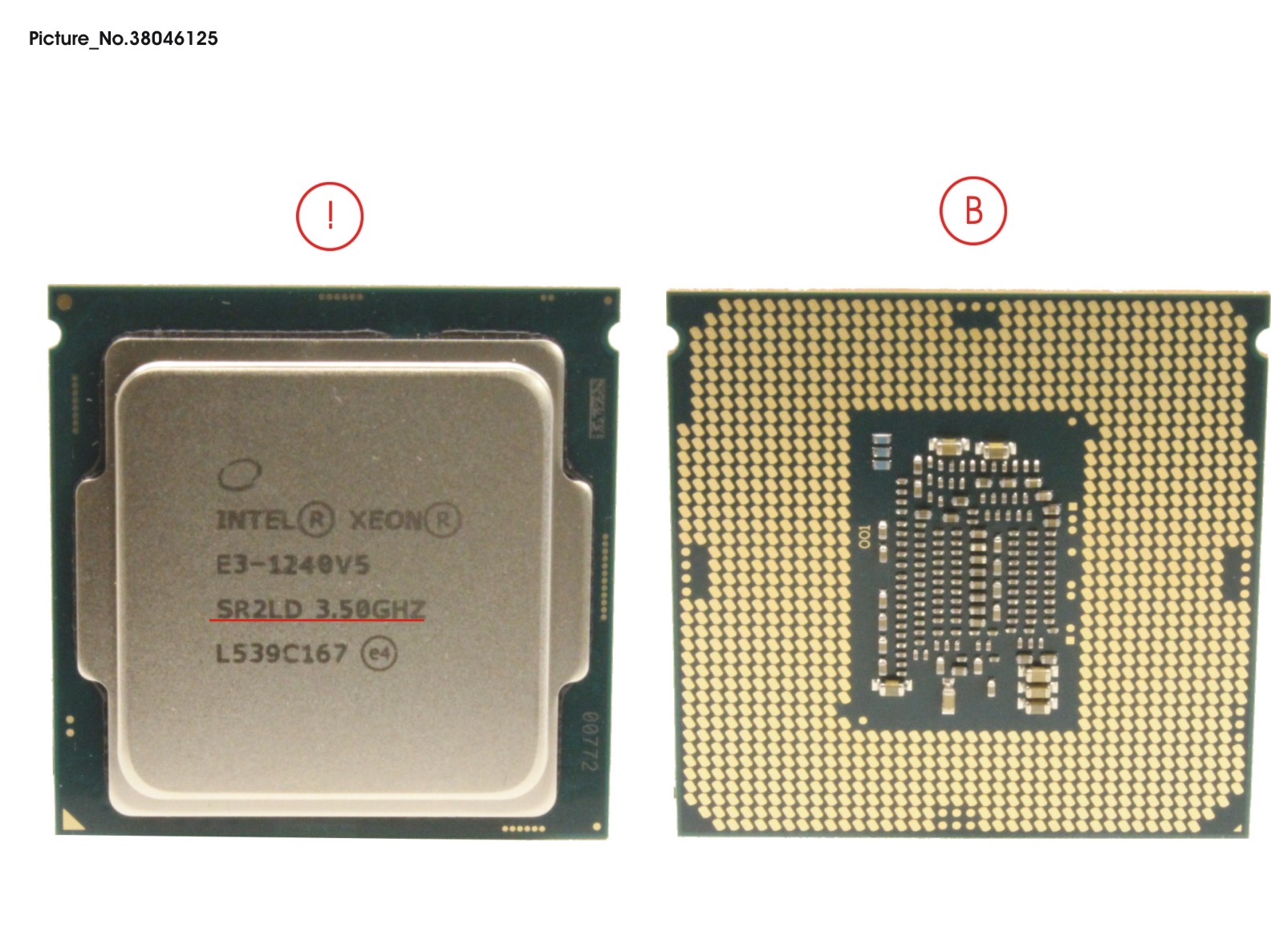 CPU XEON E3-1240V5 3.5GHZ 80W CPU XEON E3-1240V5 3.5GHZ 80W