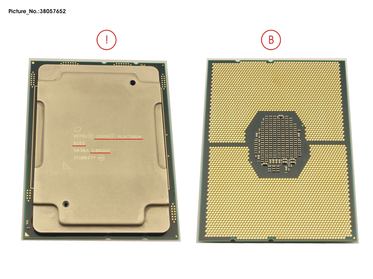 CPU XEON PLATINUM 8153 2,0GHZ 125W