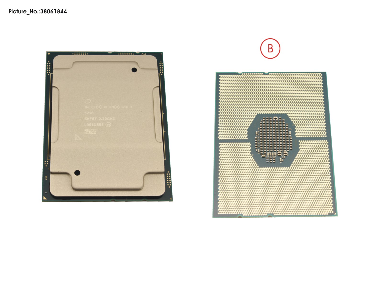 CPU INTEL XEON GOLD 5218 2300 125W