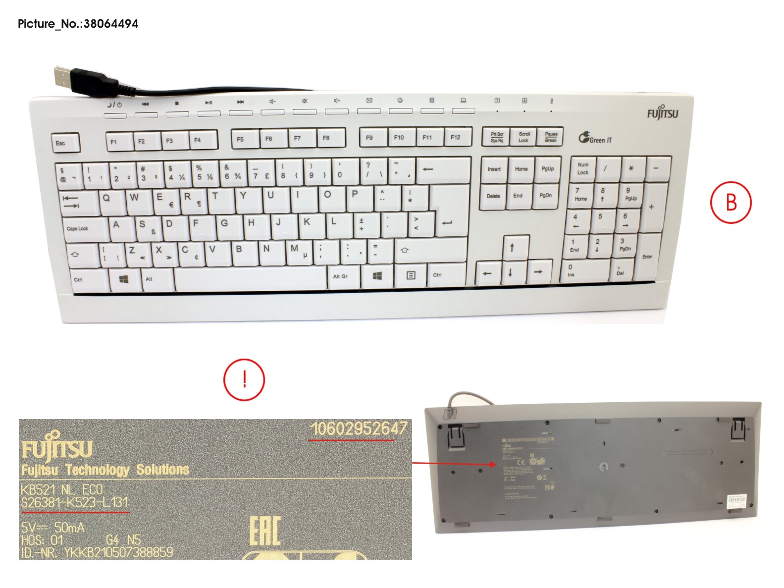 KEYBOARD KB521 NL ECO