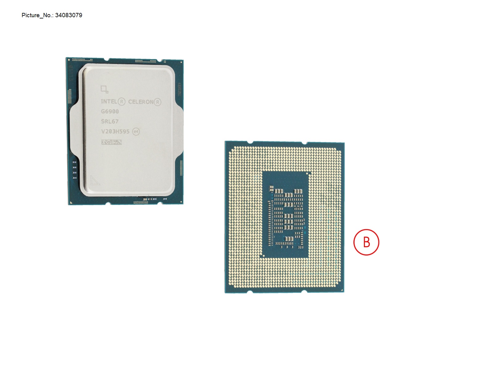 CPU INTEL CELERON G6900 3,4 GHZ 46W