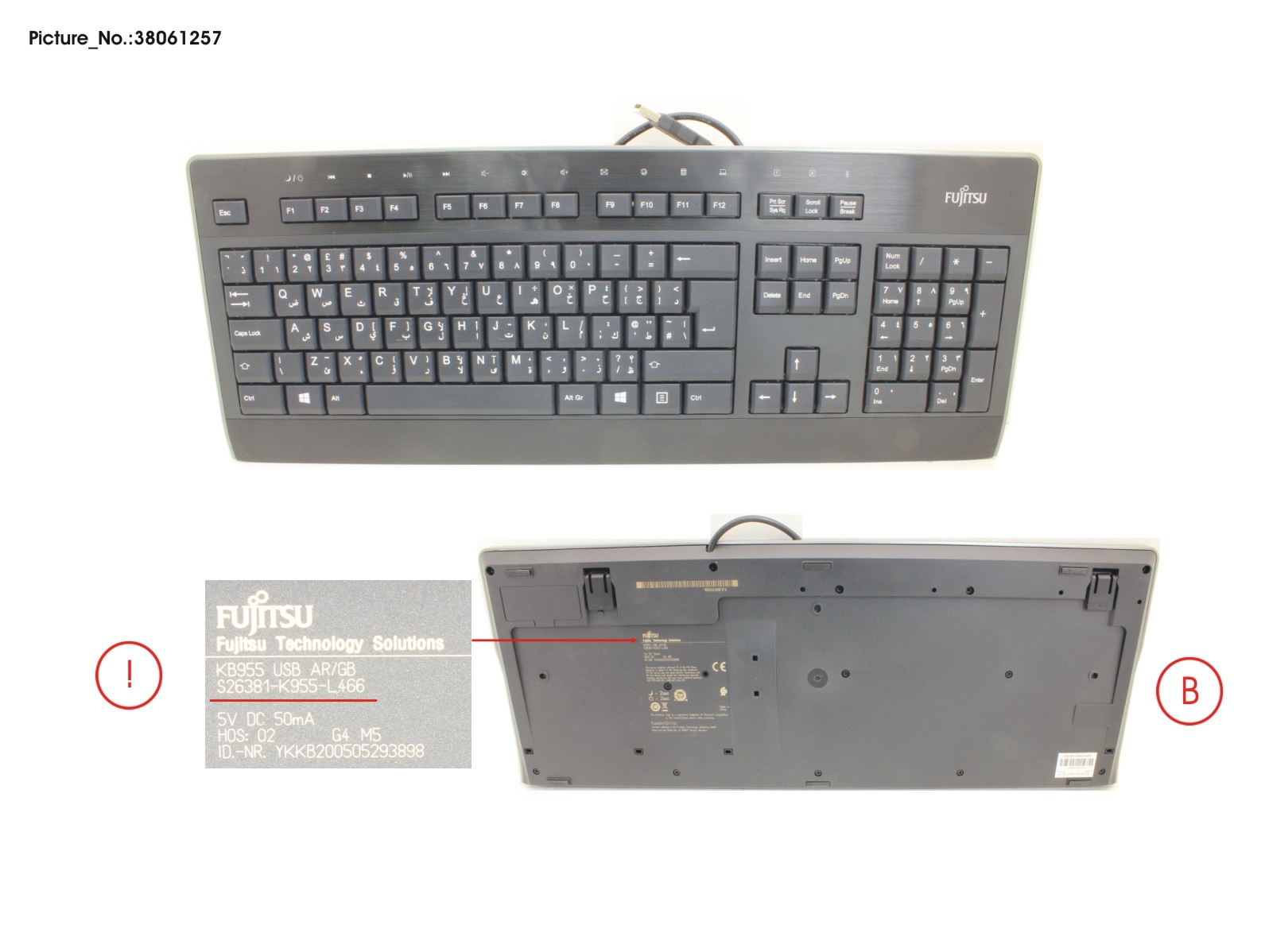 KEYBOARD KB955 USB AR/GB