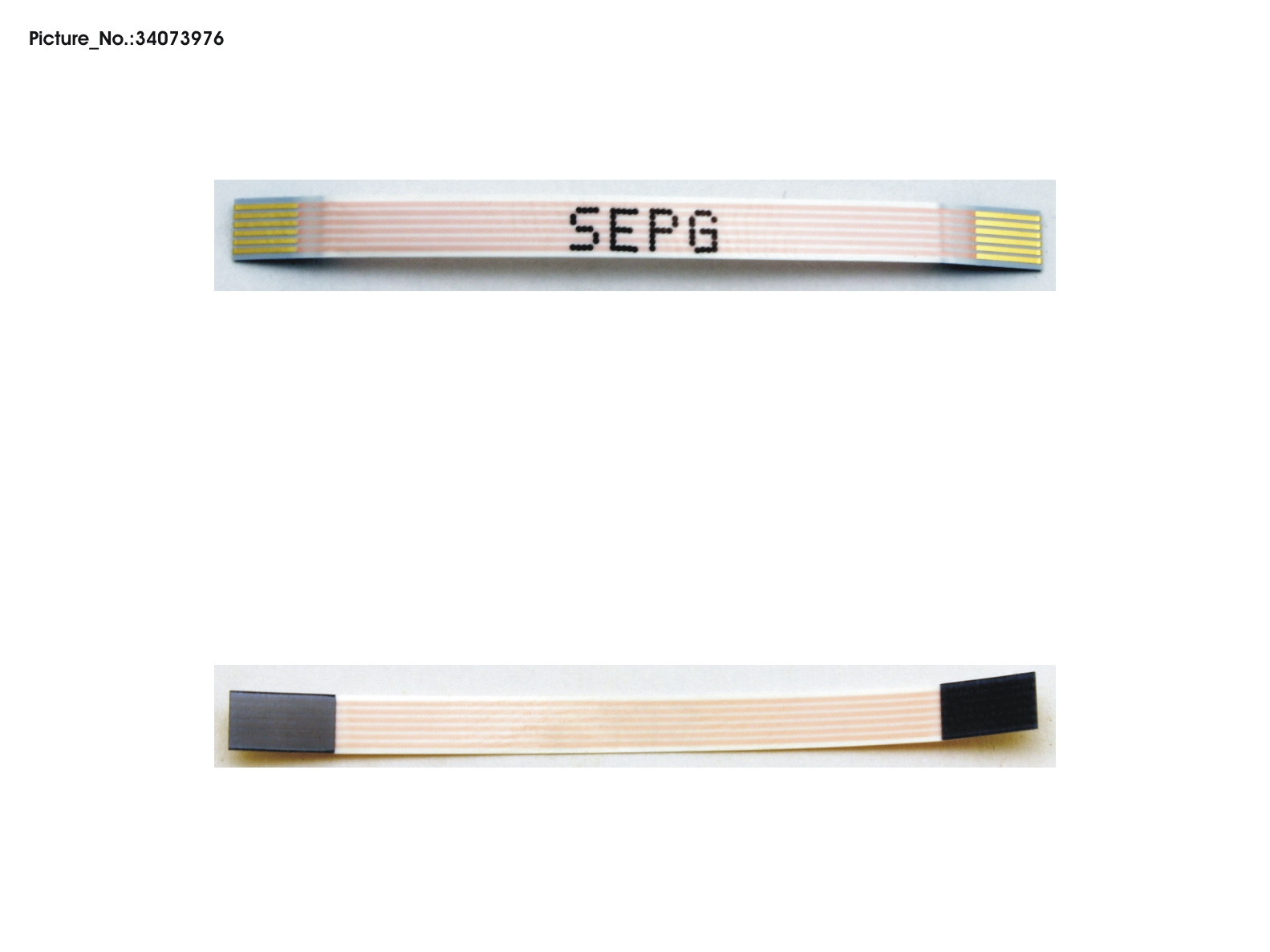 FPC, SUB BOARD FINGERPRINT