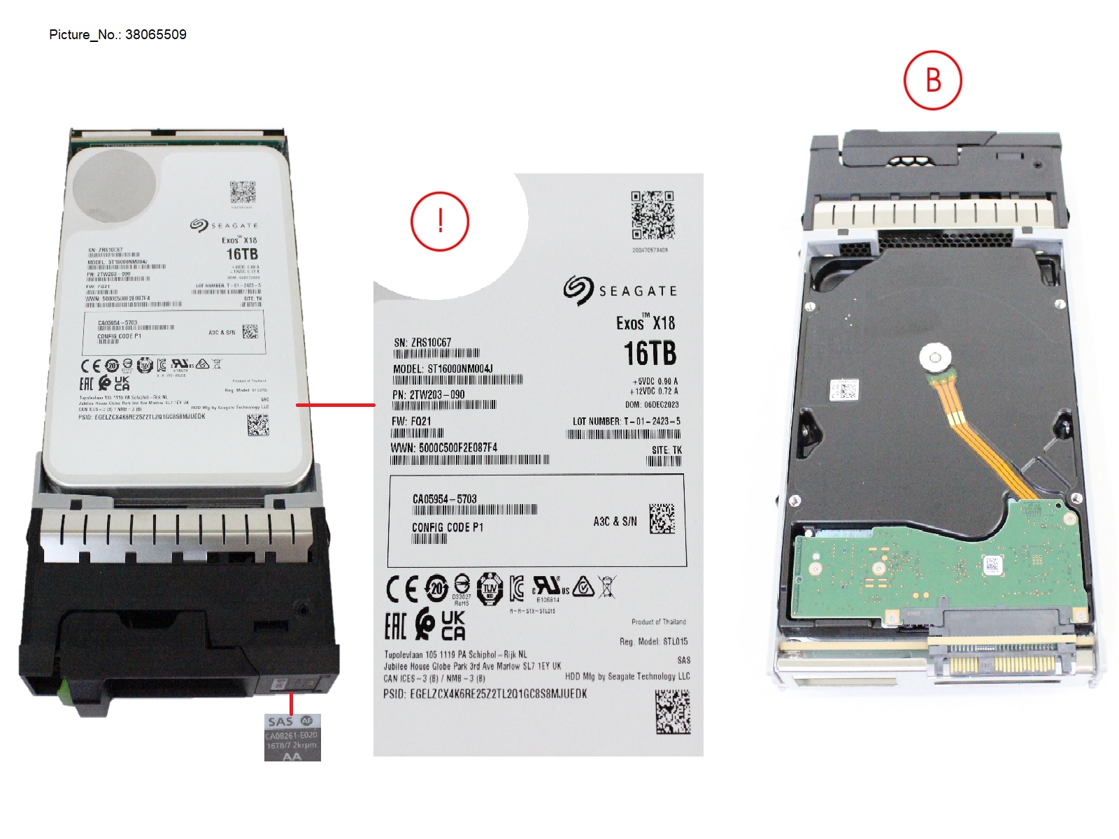 DX NLSAS HD DRIVE 3.5 16TB 7.2K