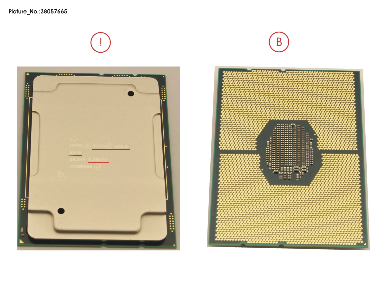 CPU XEON GOLD 6146 3,2GHZ 165W