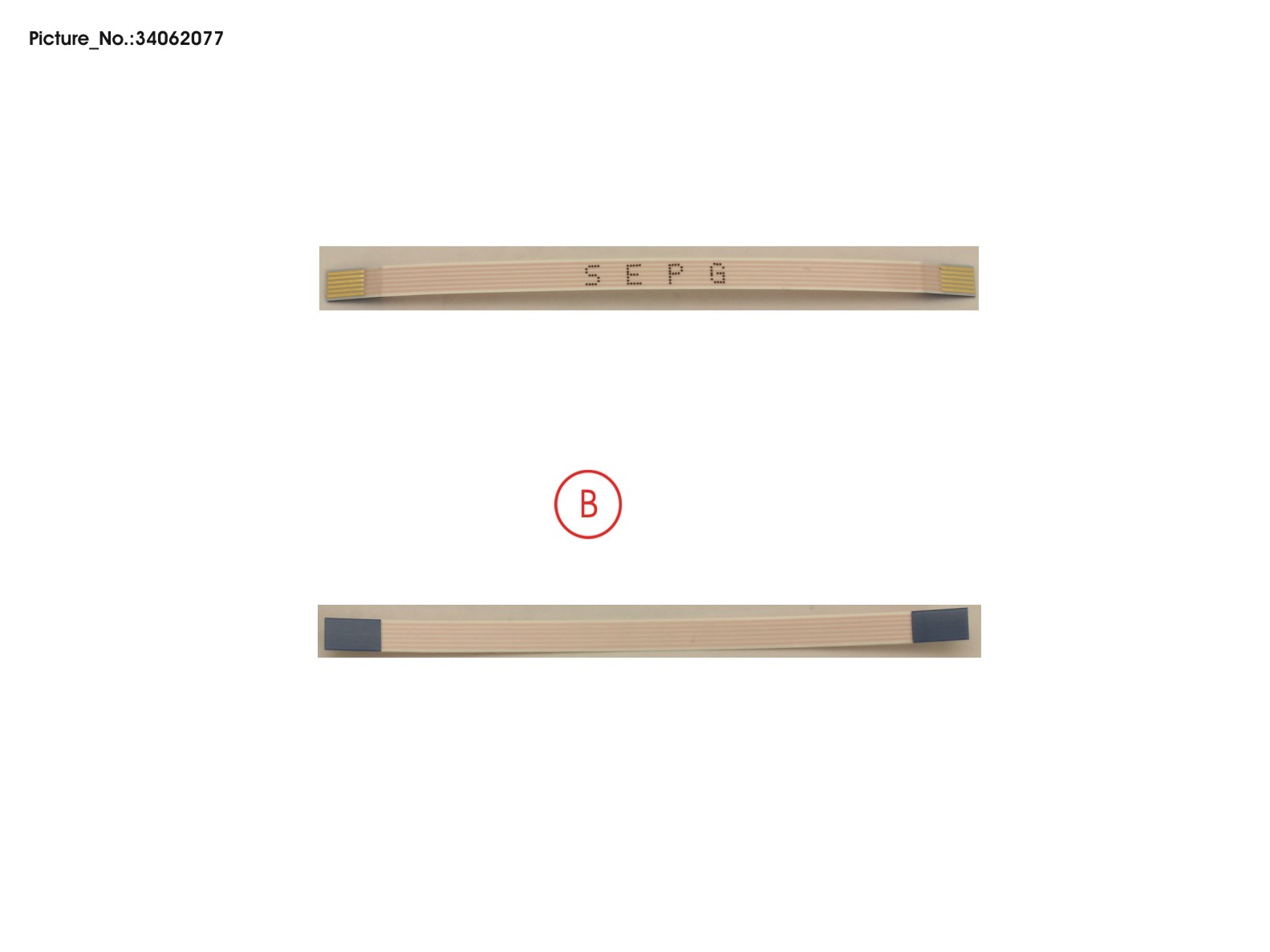 FPC, SUB BOARD FINGERPRINT