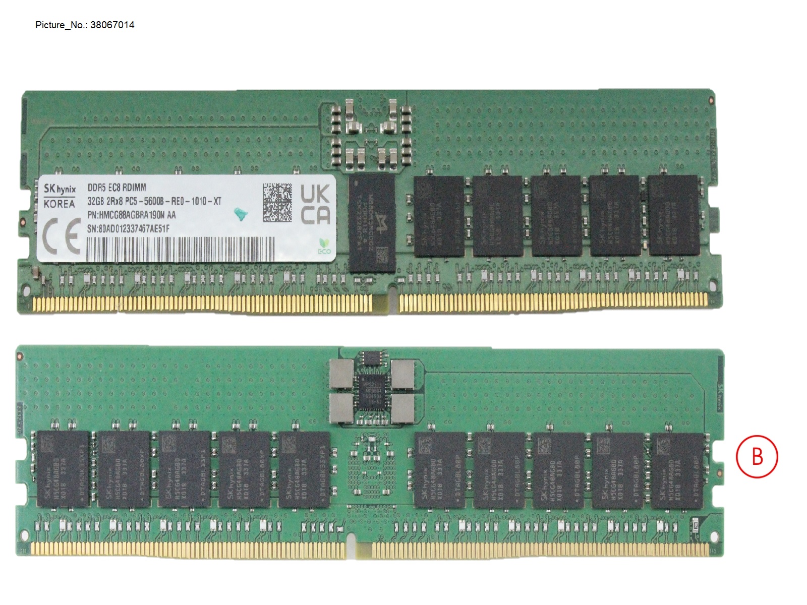 32GB (1X32GB) 2RX8 DDR5-5600 R ECC