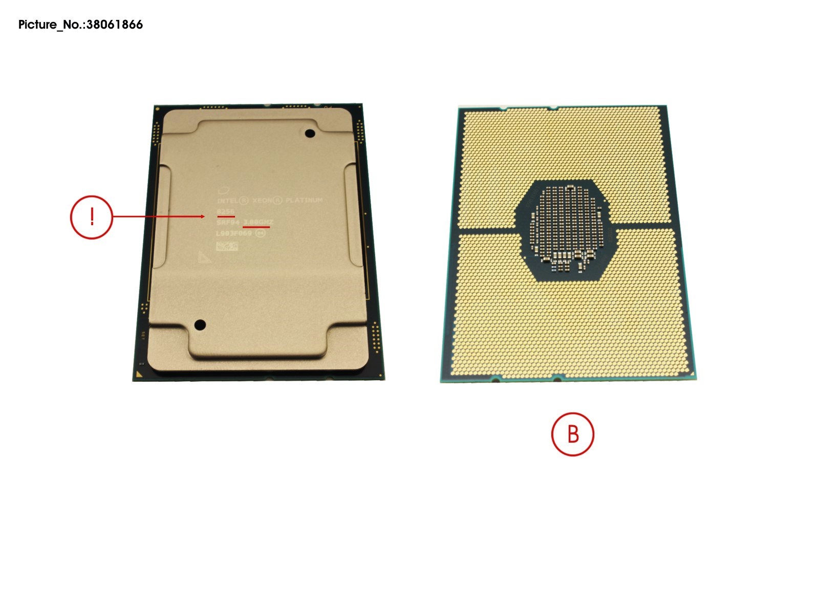 INTEL XEON PLATINUM 8256 3800 105W INTEL XEON PLATINUM 8256 3800 105W