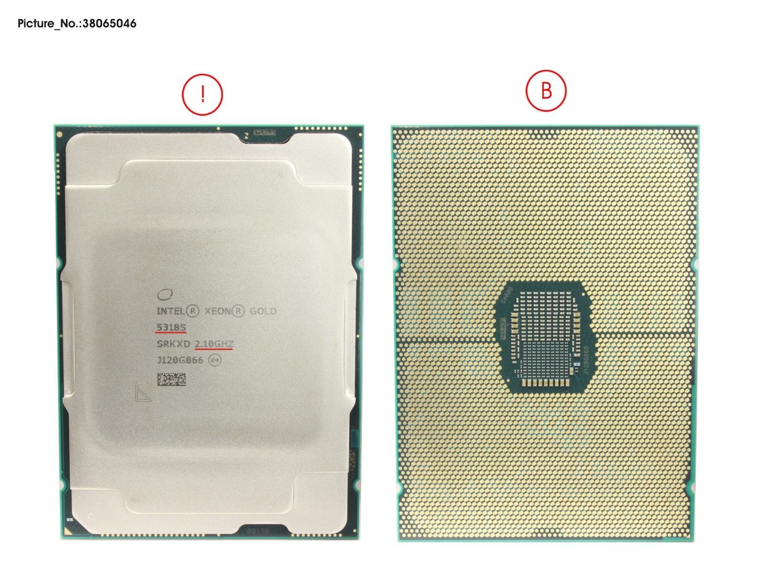 CPU XEON GOLD 5318S