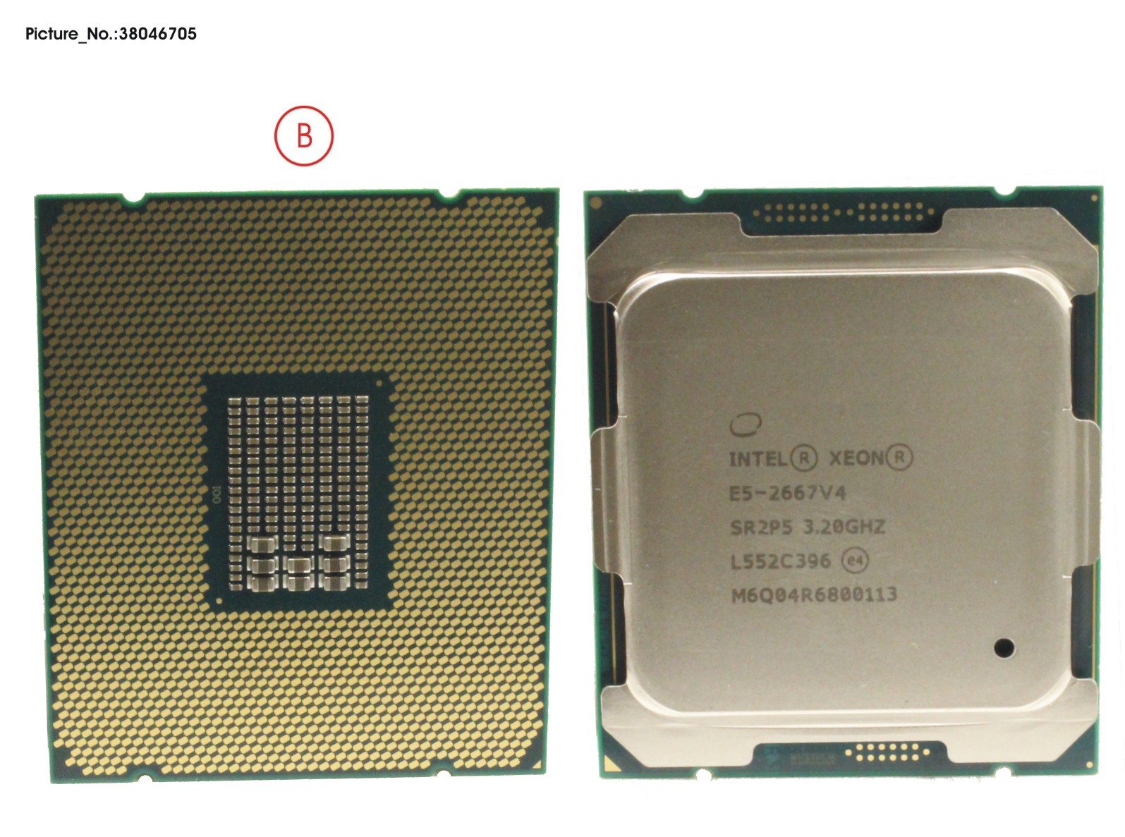 FUJITSU CPU XEON E5-2667V4 3,2GHZ 135W
