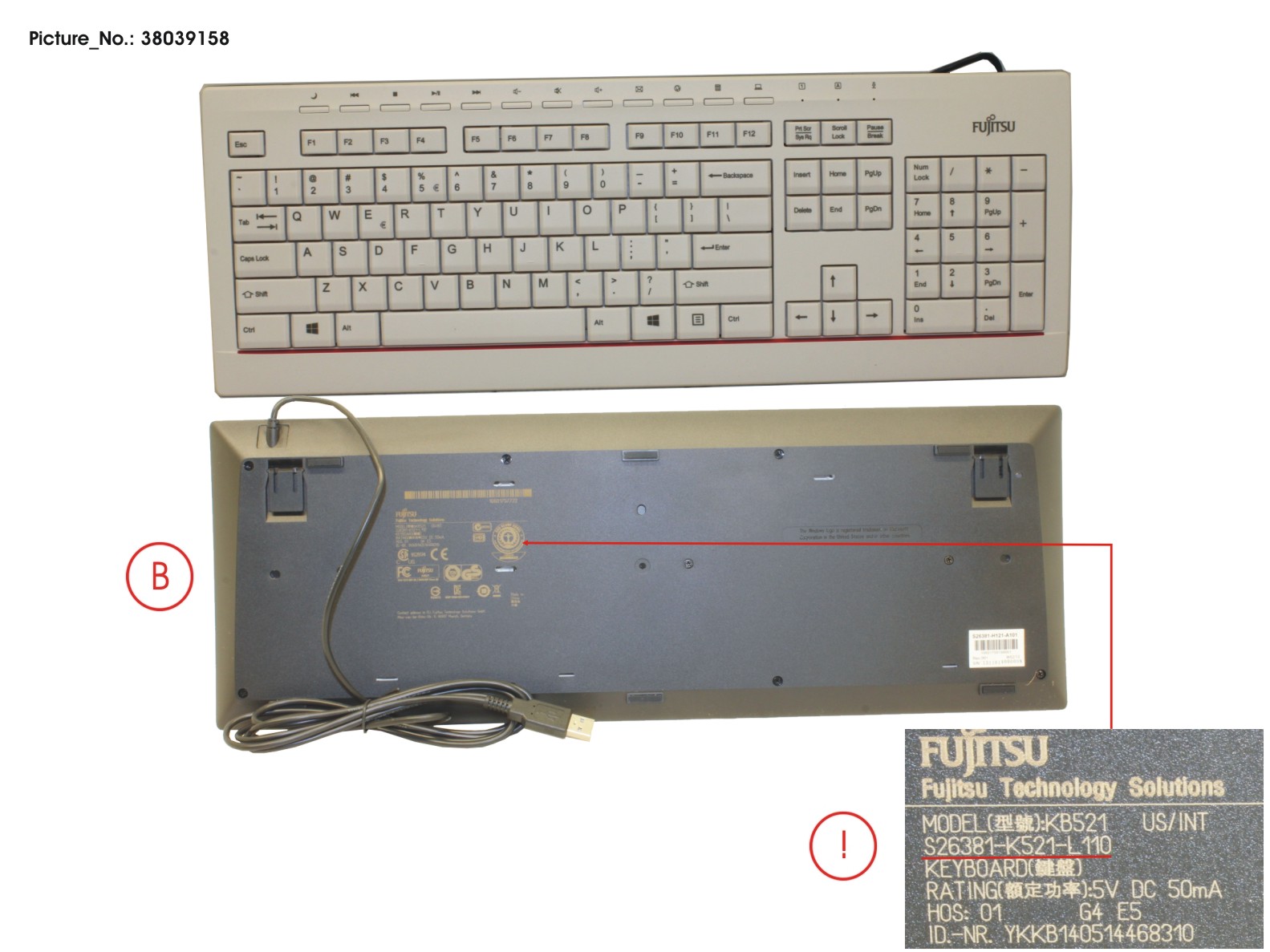 KEYBOARD KB521 US/INT