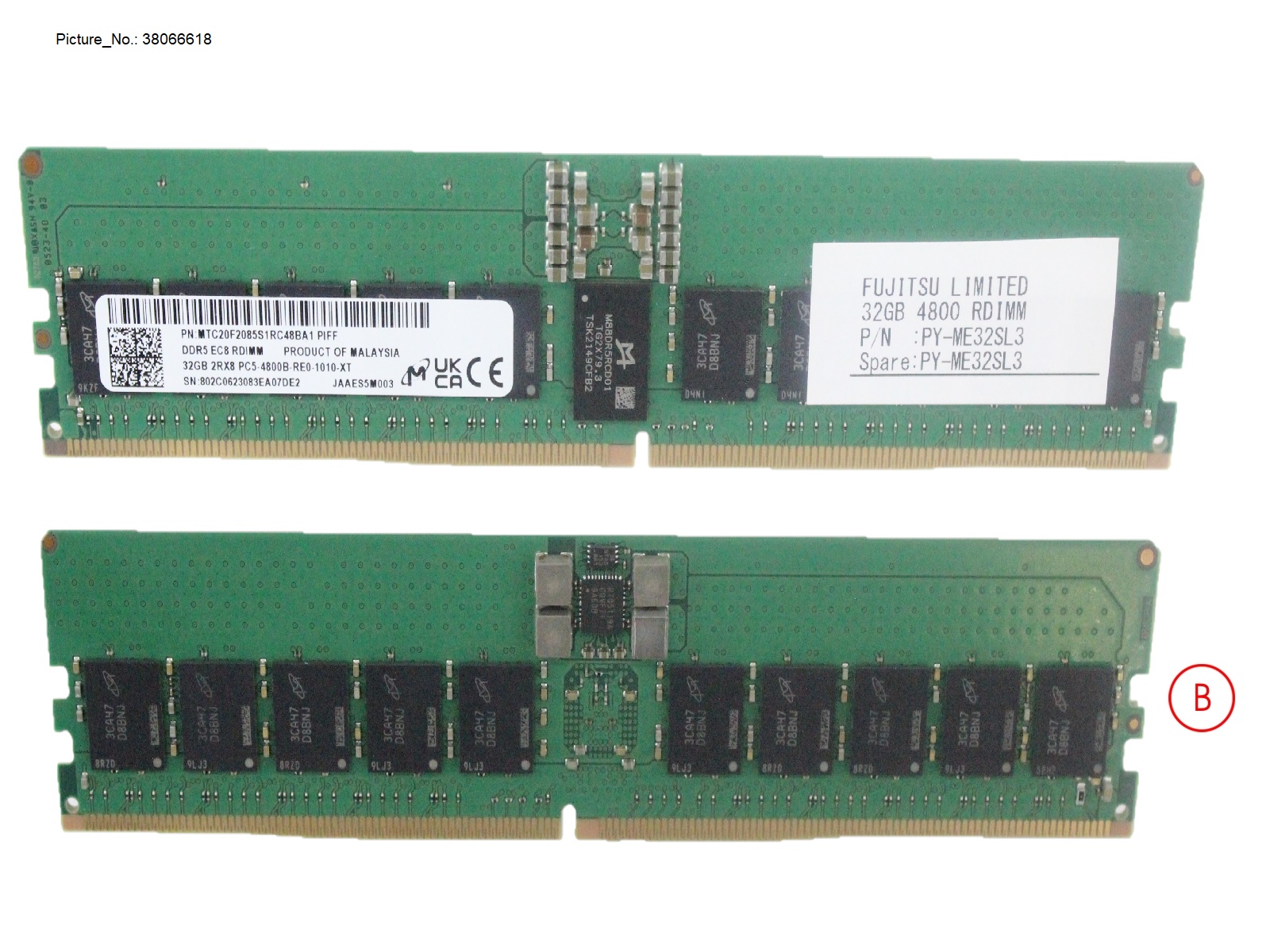 32GB (1X32GB) 2RX8 DDR5-4800 R ECC FOR G