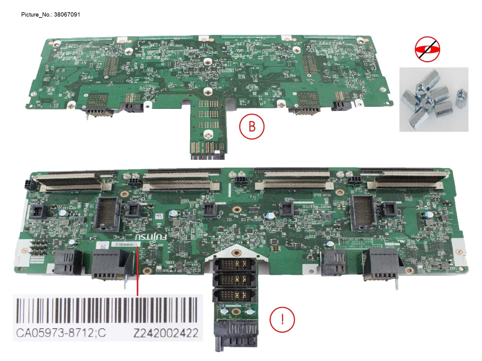 SP OF 4RE_BRIDGE_NUTS SP OF 4RE_BRIDGE_NUTS