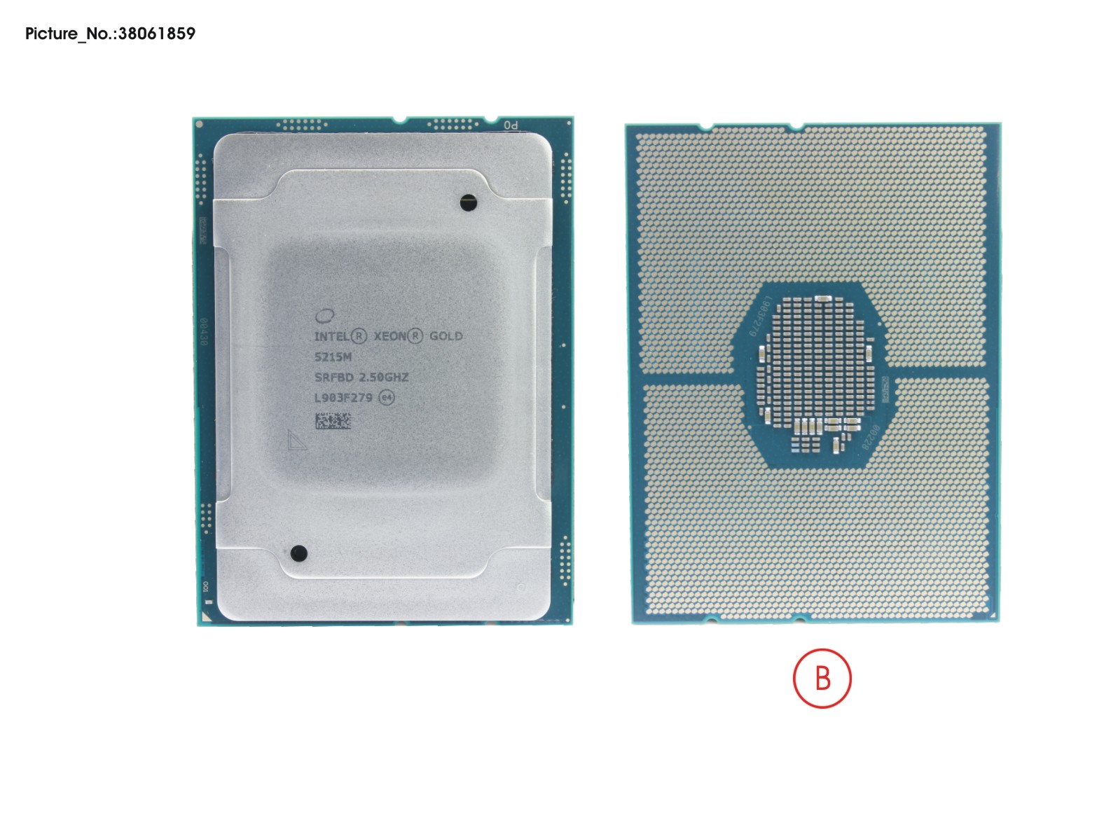 CPU INTEL XEON GOLD 5215M 2500 85W