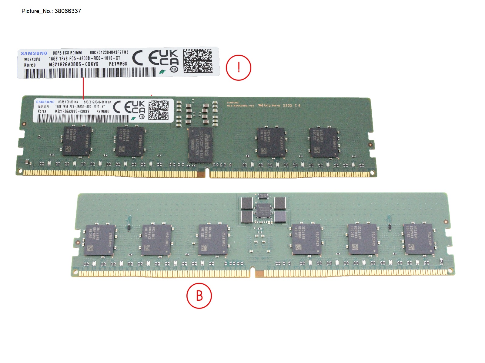 16GB (1X16GB) 1RX8 DDR5-4800 R ECC
