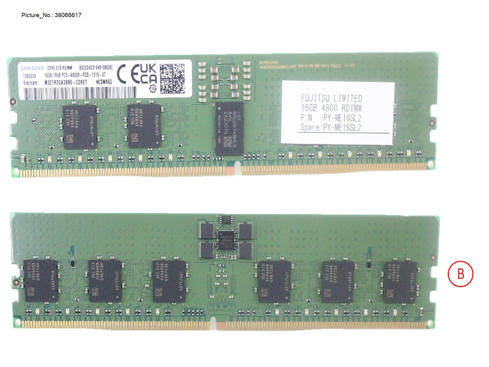 16GB (1X16GB) 1RX8 DDR5-4800 R ECC FOR G