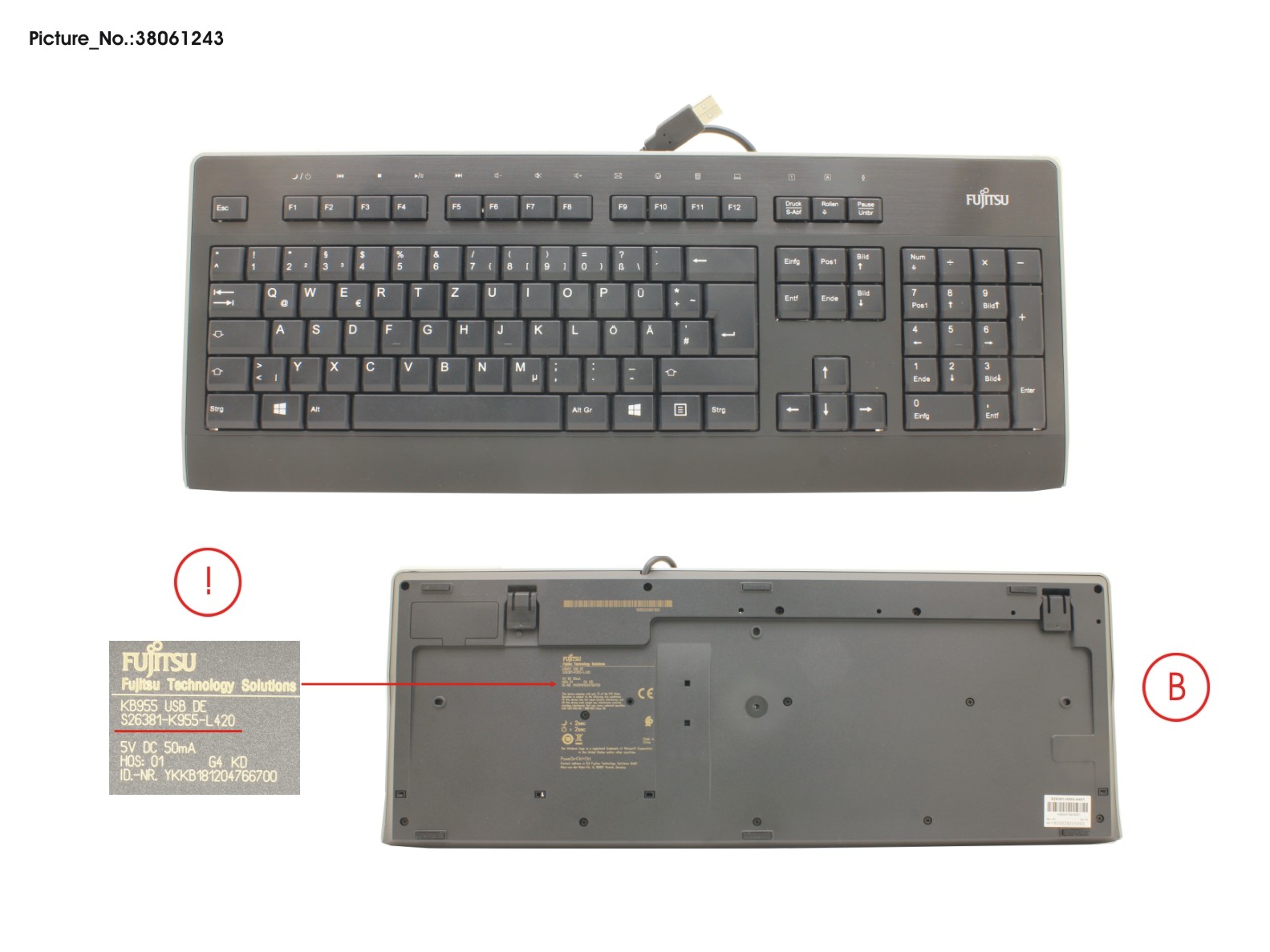 KEYBOARD KB955 USB DE