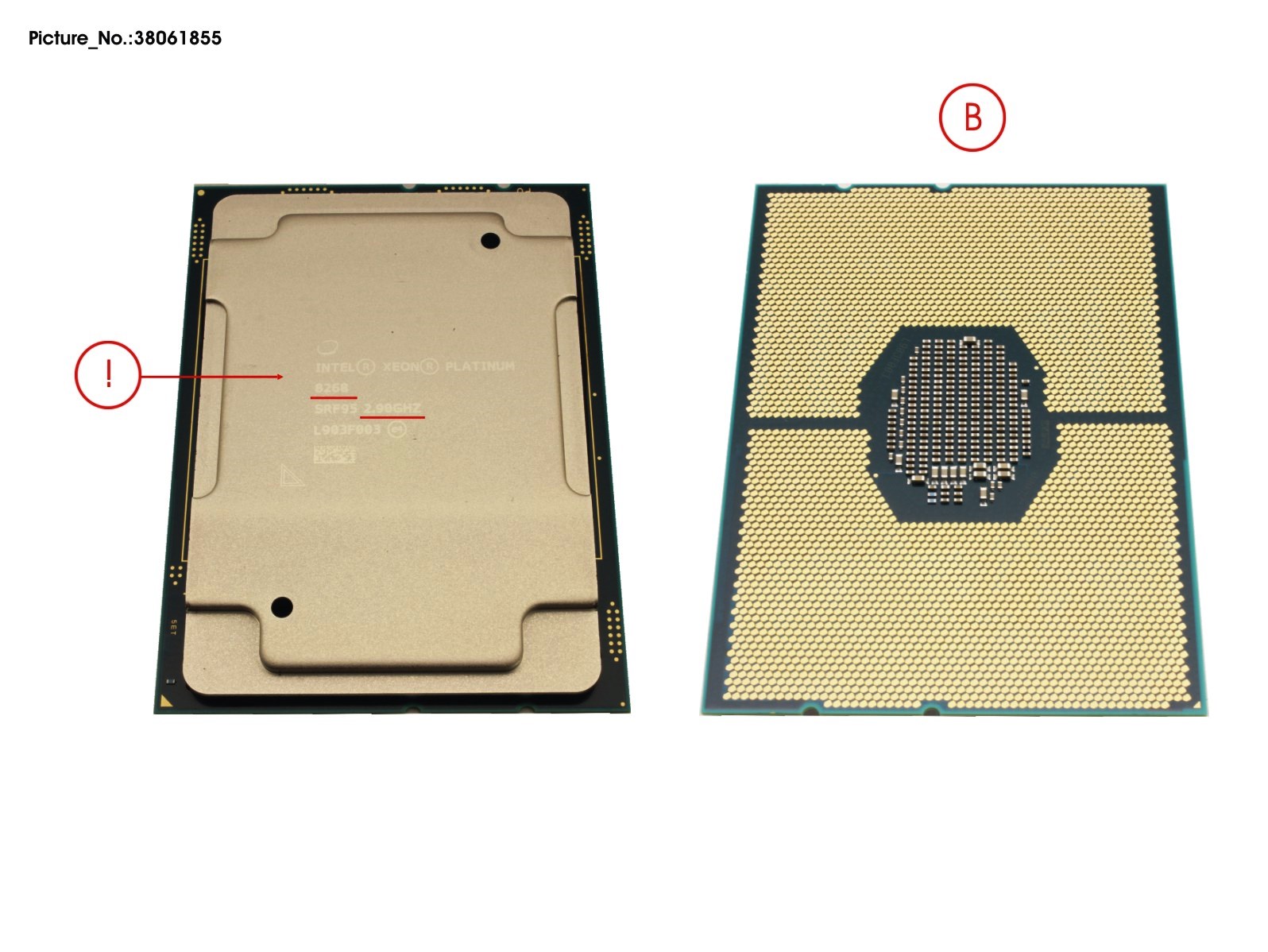 CPU INTEL XEON PLATINUM 8268 2900 205W