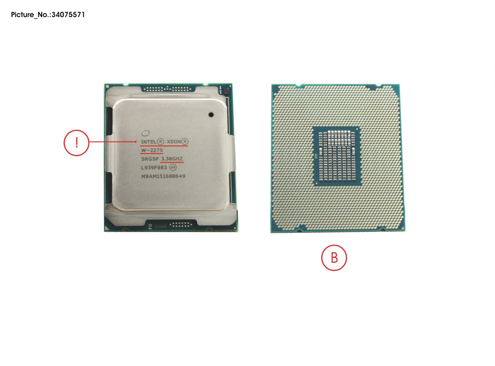 CPU XEON W-2275 14C 3.3GHZ 165W