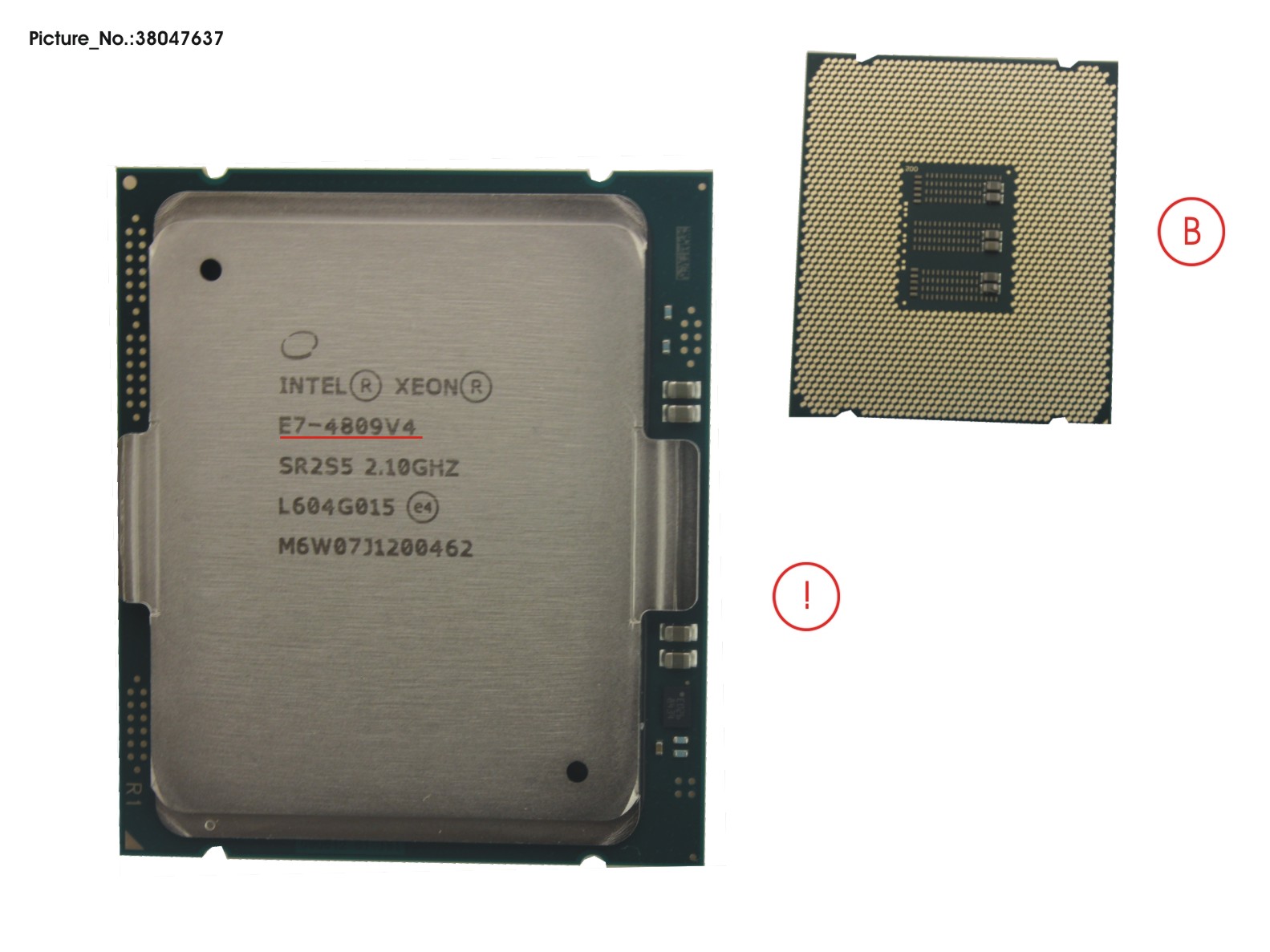 CPU XEON E7-4809V4 2,1GHZ 115W
