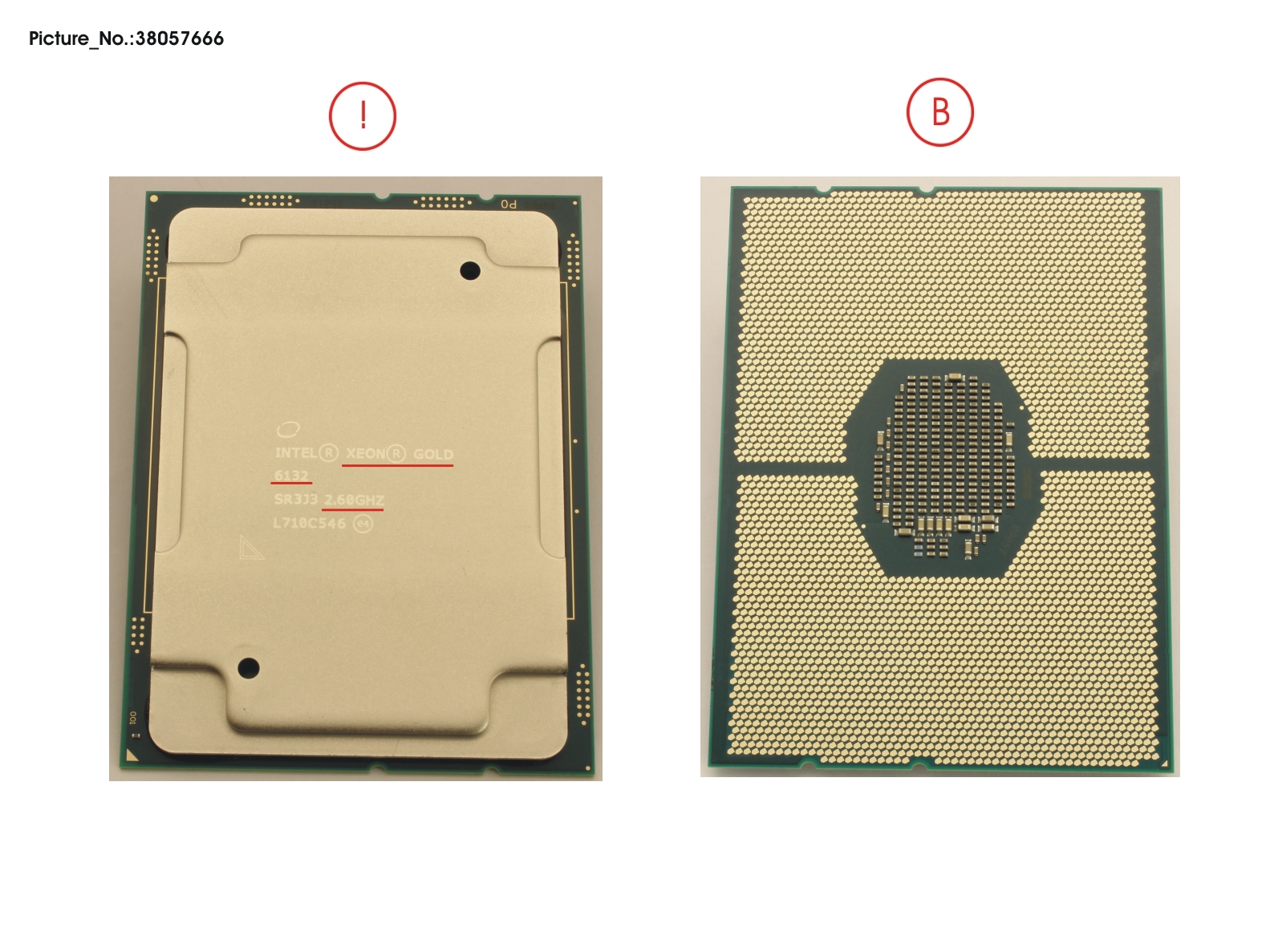 CPU XEON GOLD 6132 2,6GHZ 140W