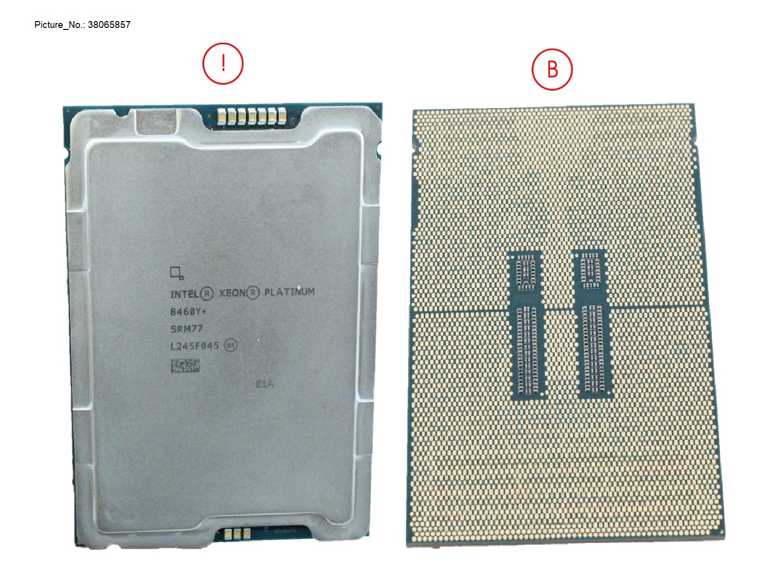 CPU XEON PLATINUM 8460Y+