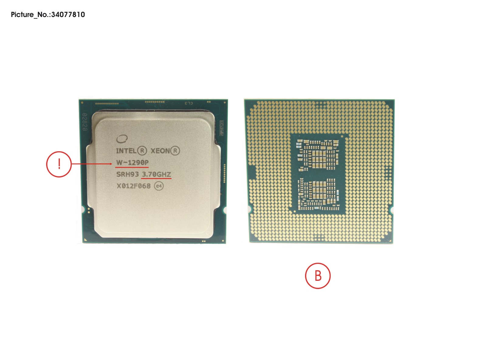 CPU INTEL XEON W-1290P 3,7 GHZ 125W