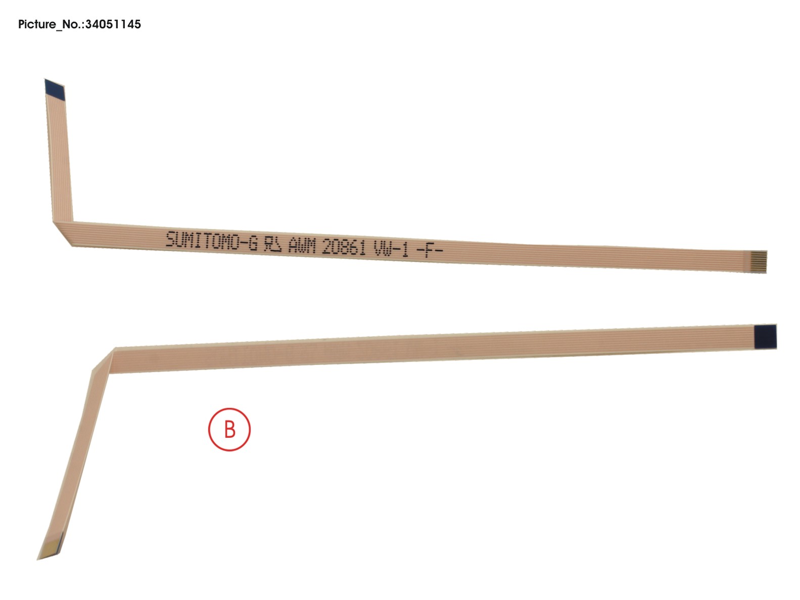 FPC, PALM VEIN FPC, PALM VEIN