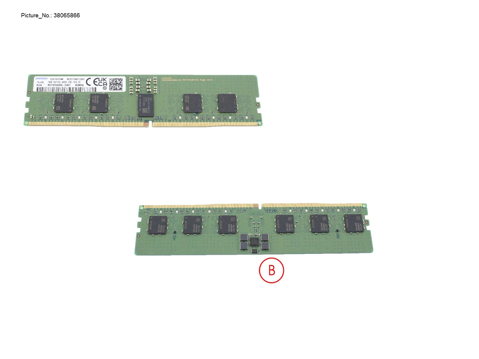 16GB (1X16GB) 1RX8 DDR5-4800 R ECC