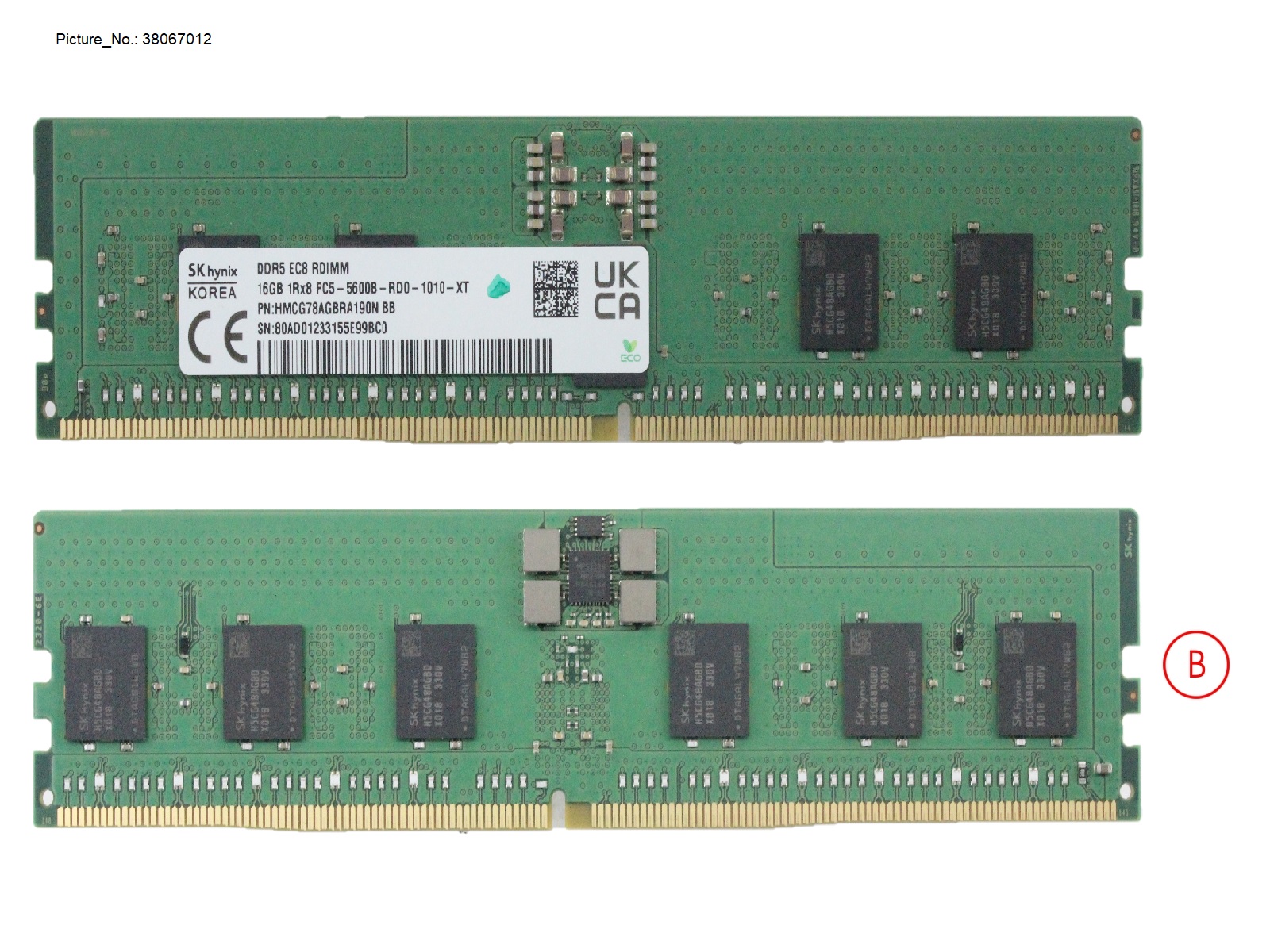 16GB (1X16GB) 1RX8 DDR5-5600 R ECC 16GB (1X16GB) 1RX8 DDR5-5600 R ECC