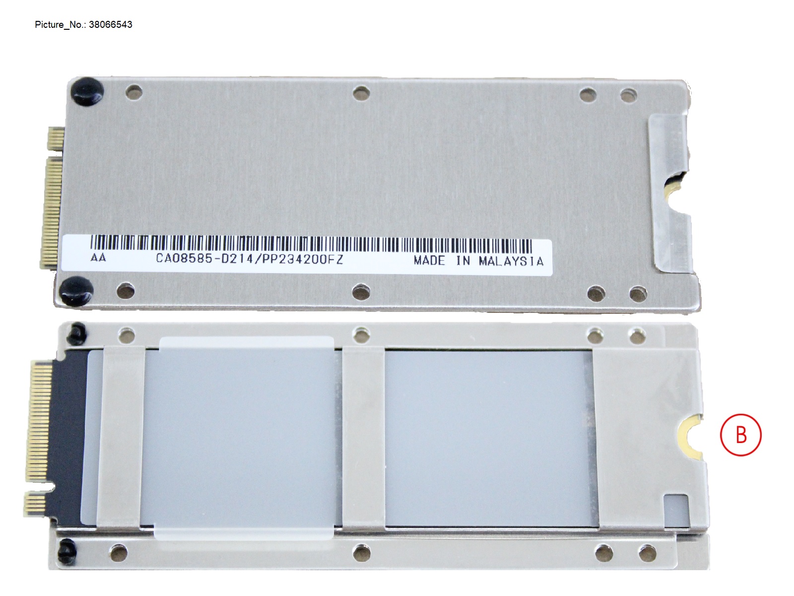 DX100S5 SPAREBUD(M.2)256GB V11L60/61-700